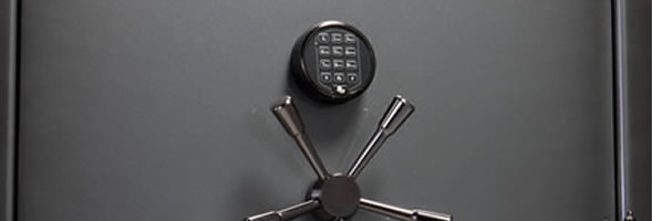 Shop All Safes